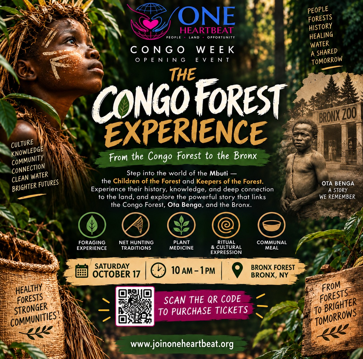 The Congo Forest Experience